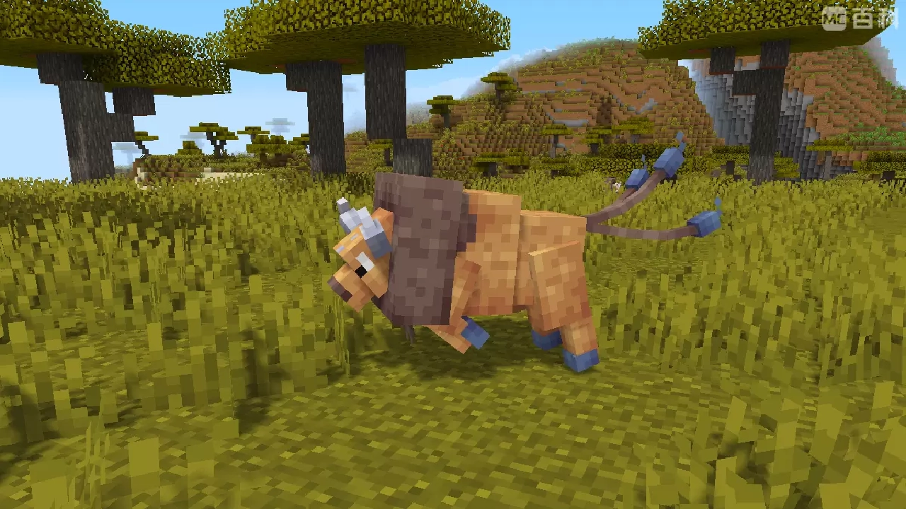 20250607182909835-5